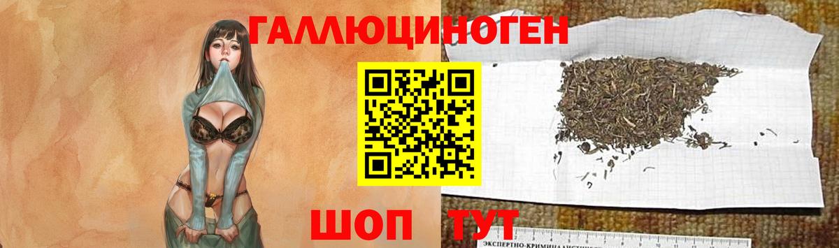 Мытищи  Псилоцибиновые грибы мицелий  Вход с VPN 