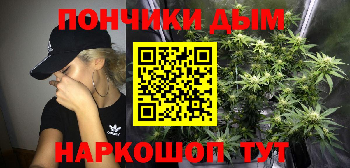 Каннабис SATIVA & INDICA  Шишки марихуана план  Мытищи  Шишки марихуана сатива  Вход с VPN 